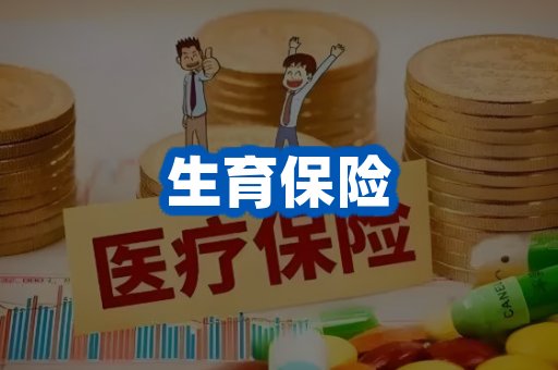 生育保险案例